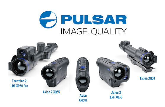 Pulsar axion best sale for sale