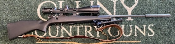 Used CZ 452-2E .22 + P/Hale mod - Cluny Country Guns